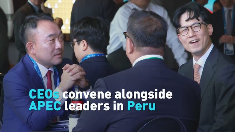 __Business_Titans_and_World_Leaders_Unite_at_APEC_Summit_in_Peru video poster