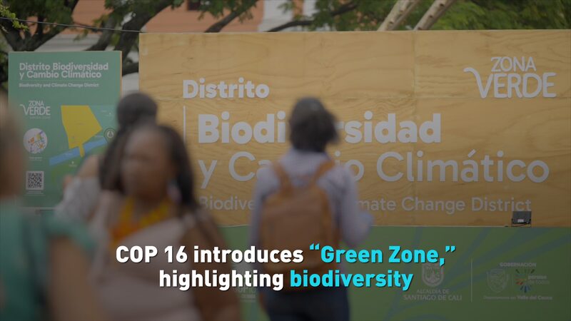 COP16_s__Green_Zone__Welcomes_All__Colombia_s_Push_for_Biodiversity_Inclusion___poster - News for amigos, by amigos COP16_s__Green_Zone__Welcomes_All__Colombia_s_Push_for_Biodiversity_Inclusion__ video poster