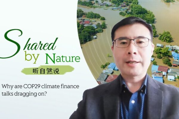 COP29 Climate Finance Talks: Why the Delay? 🌍 COP29_Climate_Finance_Talks__Why_the_Delay___ video poster