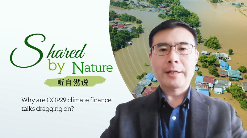 COP29_Climate_Finance_Talks__Why_the_Delay___ video poster