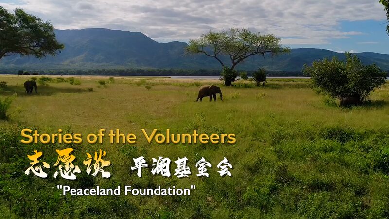 Calming_the_Storm__A_Chinese_NGO_Goes_International_poster - News for amigos, by amigos Calming_the_Storm__A_Chinese_NGO_Goes_International video poster