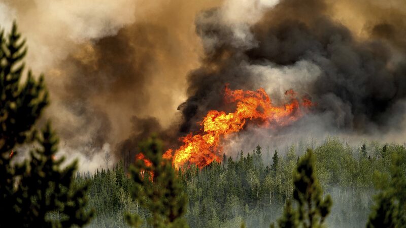 Canadian_Wildfires_in_2023_Release_Record_Breaking_Carbon_Emissions___ - News for amigos, by amigos Canadian_Wildfires_in_2023_Release_Record_Breaking_Carbon_Emissions___