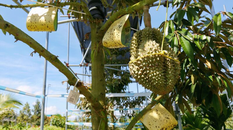 Carbon_Footprint_Labels_Bring_Green_Revolution_to_Chinese_Farms__ - News for amigos, by amigos Carbon_Footprint_Labels_Bring_Green_Revolution_to_Chinese_Farms__