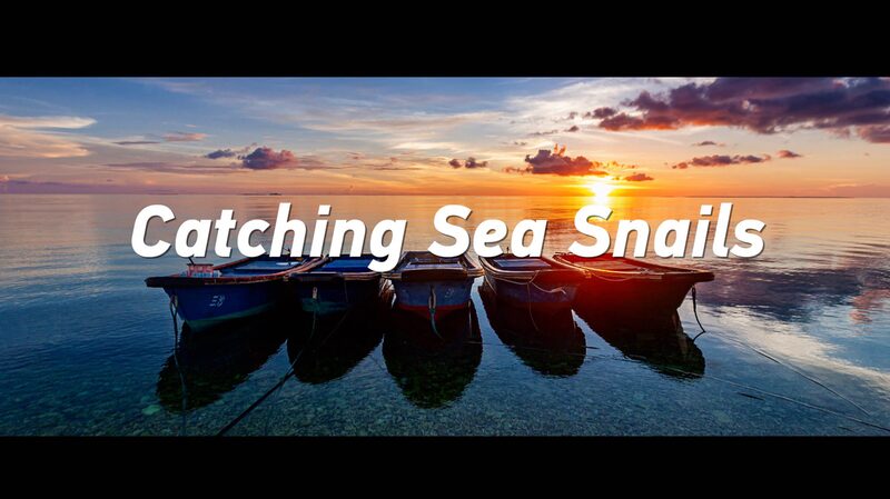 Catching_Sea_Snails__A_Father_Son_Tale_from_the_South_China_Sea video poster