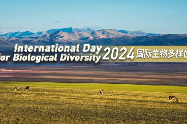 Celebrate Biodiversity Day: China’s Adorable Wildlife Awaits! 🐼 Celebrate_Biodiversity_Day__China_s_Adorable_Wildlife_Awaits___