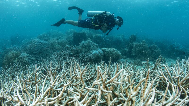 Celebrating_a_Decade__China_Thailand_Marine_Lab_Makes_Waves__