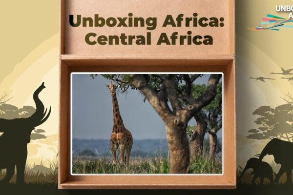 Central Africa: Where Wilderness Thrives and Treasures Abound 🌍 Central_Africa__Where_Wilderness_Thrives_and_Treasures_Abound__