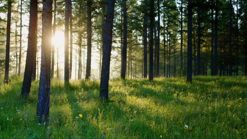 Changkou_Village_s_Carbon_Ticket__Cashing_In_on_Clean_Air___ video poster