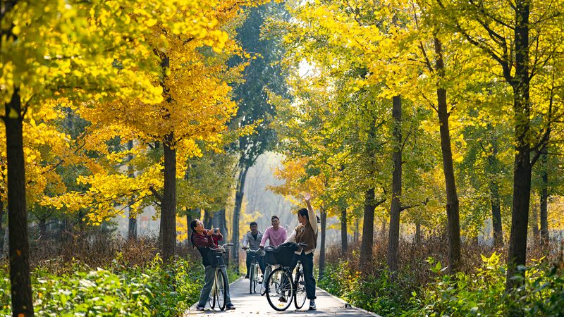 Chaoyang_District__Beijing_s_Urban_Oasis__ - News for amigos, by amigos Chaoyang_District__Beijing_s_Urban_Oasis__