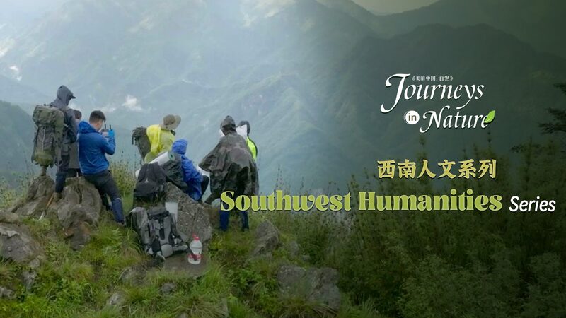 Chasing_Giants__Rangers_Trek_Through_Sichuan_s_Jungles_in_Search_of_Pandas video poster