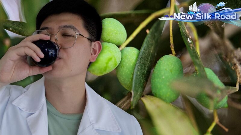 Cheers_to_Olive_Oil__Discover_How_to_Taste_It_Like_a_Pro_in_Crete video poster