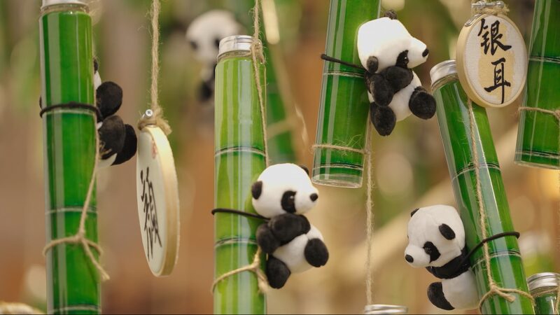 Chengdu_s_Fiery_Hot_Pot____Meets_Serene_Tea____A_Journey_of_Flavors video poster