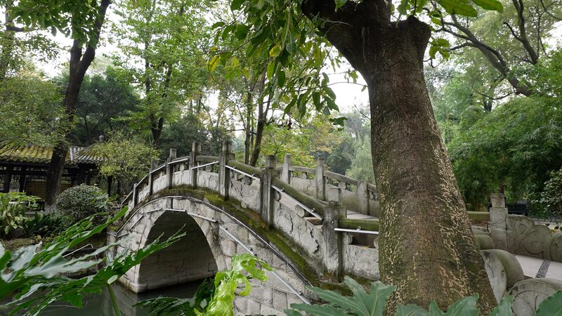 Chengdu_s_People_s_Park__The_City_s_Lively_Heartbeat_____poster - News for amigos, by amigos Chengdu_s_People_s_Park__The_City_s_Lively_Heartbeat____ video poster
