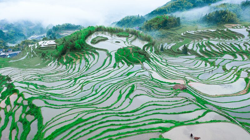 China_Awards_Top_5A_Rating_to_21_New_Scenic_Sites___ - News for amigos, by amigos China_Awards_Top_5A_Rating_to_21_New_Scenic_Sites___