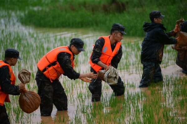 China Boosts Agriculture with 546 Million Yuan Disaster Relief Fund 💰🌾 China_Boosts_Agriculture_with_546_Million_Yuan_Disaster_Relief_Fund___