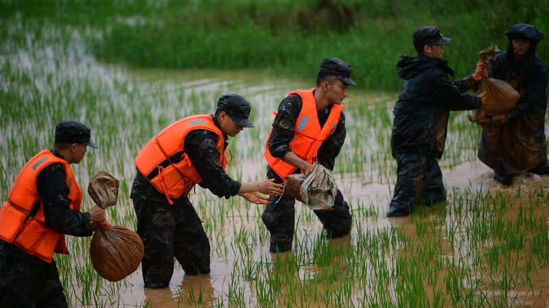 China_Boosts_Agriculture_with_546_Million_Yuan_Disaster_Relief_Fund___ - News for amigos, by amigos China_Boosts_Agriculture_with_546_Million_Yuan_Disaster_Relief_Fund___