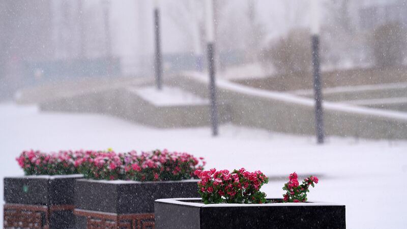 China_Braces_for_Arctic_Blast_____Temperatures_Plummet_as_Cold_Wave_Hits_Highest_Alert