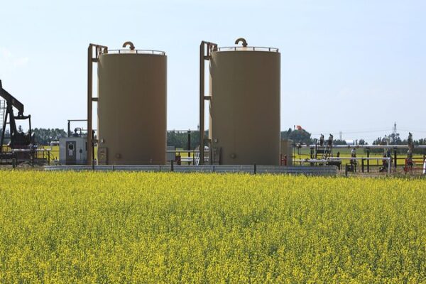 China Claps Back at Canada’s Tariff Hike with New Probes 💥 China_Claps_Back_at_Canada_s_Tariff_Hike_with_New_Probes__