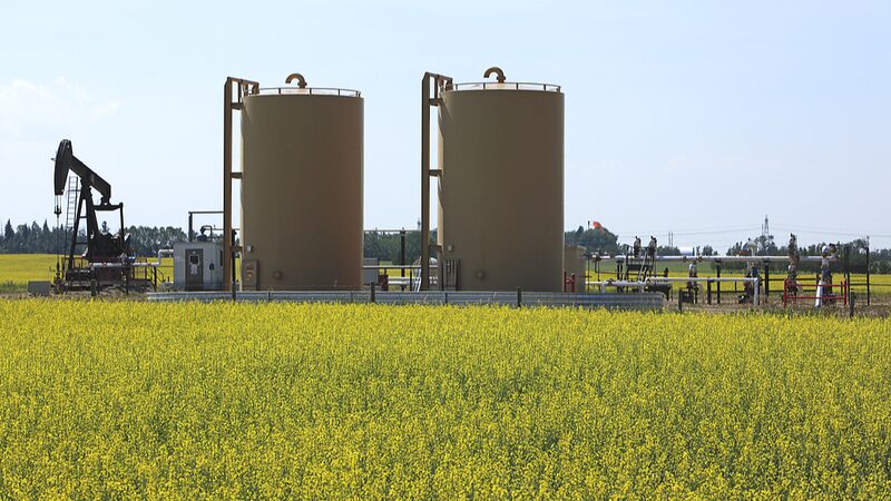 China_Claps_Back_at_Canada_s_Tariff_Hike_with_New_Probes__ - News for amigos, by amigos China_Claps_Back_at_Canada_s_Tariff_Hike_with_New_Probes__