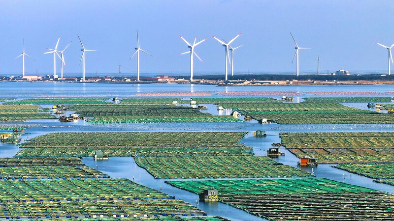 China_Embraces_Tech_Innovation_and_Green_Growth_at_Davos___ - News for amigos, by amigos China_Embraces_Tech_Innovation_and_Green_Growth_at_Davos___