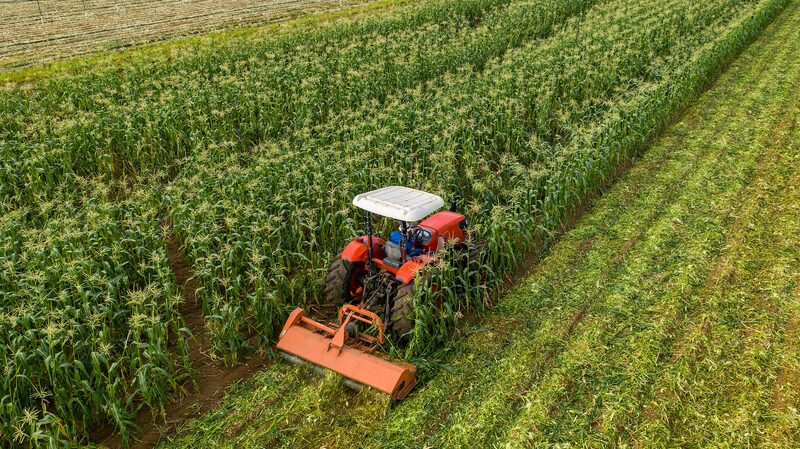 China_Grants_Zero_Tariff_Access_to_33_African_Nations__Boosting_Trade_Ties__ - News for amigos, by amigos China_Grants_Zero_Tariff_Access_to_33_African_Nations__Boosting_Trade_Ties__