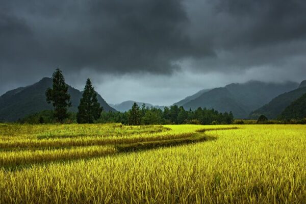 China Issues Blue Alert: Heavy Rainstorms Expected in Several Provinces 🌧️ China_Issues_Blue_Alert__Heavy_Rainstorms_Expected_in_Several_Provinces___