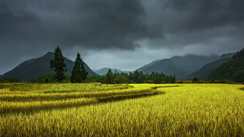 China_Issues_Blue_Alert__Heavy_Rainstorms_Expected_in_Several_Provinces___ - News for amigos, by amigos China_Issues_Blue_Alert__Heavy_Rainstorms_Expected_in_Several_Provinces___