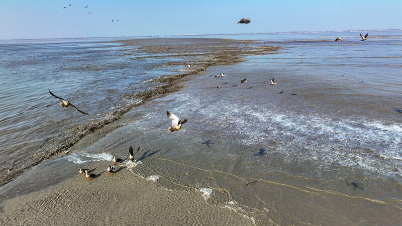 China_Kicks_Off_4_Month_Spring_Fishing_Ban_to_Boost_Biodiversity___