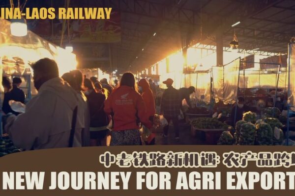 China-Laos Railway: Lao Farmers Embarking on a New Export Journey 🚂🌾 China_Laos_Railway__Lao_Farmers_Embarking_on_a_New_Export_Journey___ video poster
