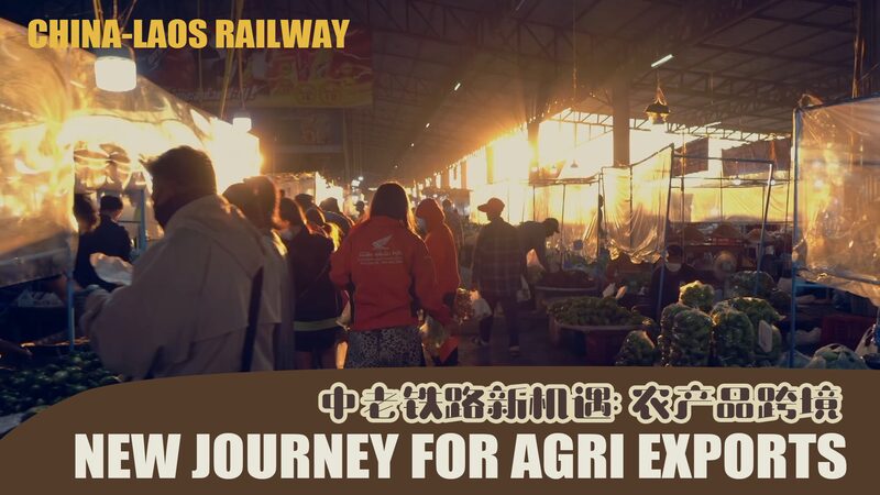 China_Laos_Railway__Lao_Farmers_Embarking_on_a_New_Export_Journey____poster - News for amigos, by amigos China_Laos_Railway__Lao_Farmers_Embarking_on_a_New_Export_Journey___ video poster