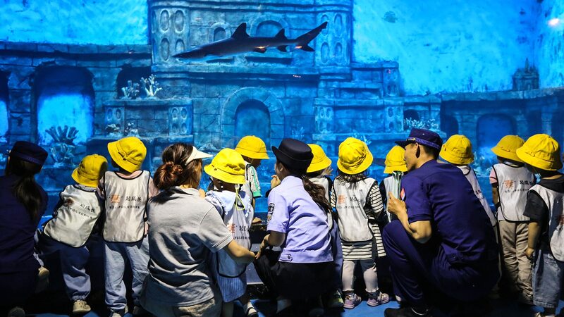 China_Launches_Epic_7_Year_Plan_to_Protect_Biodiversity____poster - News for amigos, by amigos China_Launches_Epic_7_Year_Plan_to_Protect_Biodiversity___ video poster