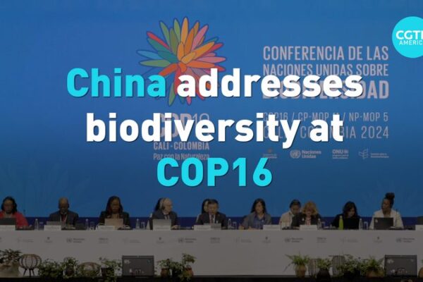 China Passes the Torch at COP16: Global Biodiversity in Focus 🌿 China_Passes_the_Torch_at_COP16__Global_Biodiversity_in_Focus__ video poster