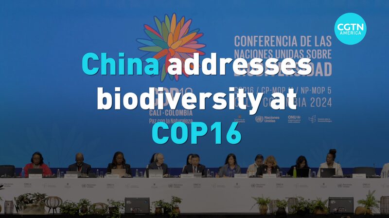 China_Passes_the_Torch_at_COP16__Global_Biodiversity_in_Focus___poster - News for amigos, by amigos China_Passes_the_Torch_at_COP16__Global_Biodiversity_in_Focus__ video poster