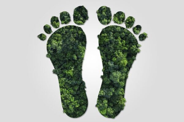 China Powers Up 🌍 Green Goals with Unified Carbon Footprint Plan 🚀 China_Powers_Up___Green_Goals_with_Unified_Carbon_Footprint_Plan__