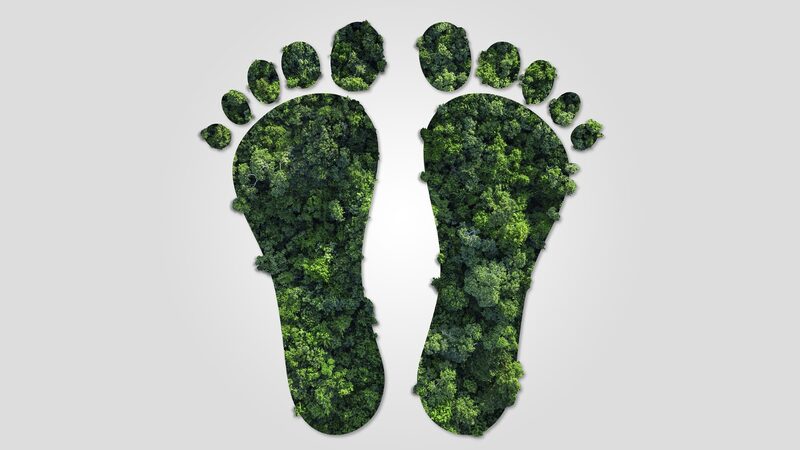 China_Powers_Up___Green_Goals_with_Unified_Carbon_Footprint_Plan__