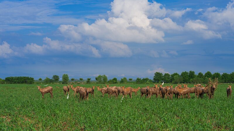 China_Proposes_First_Ever_National_Park_Law__ - News for amigos, by amigos China_Proposes_First_Ever_National_Park_Law__