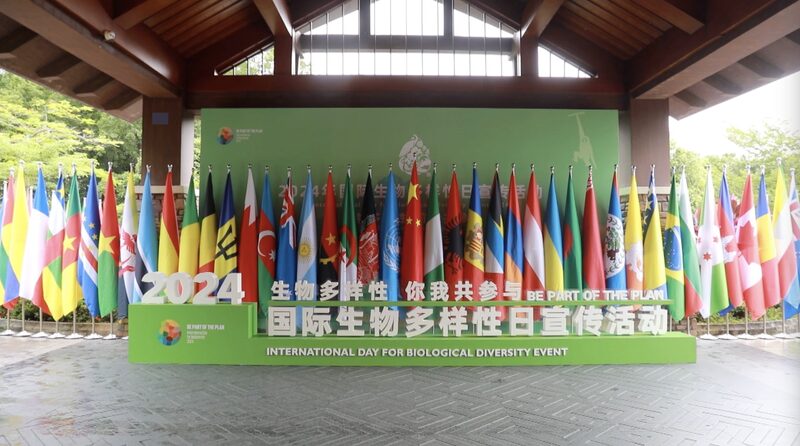 China_Reaffirms_Commitment_to_Biodiversity_Conservation___poster - News for amigos, by amigos China_Reaffirms_Commitment_to_Biodiversity_Conservation__ video poster