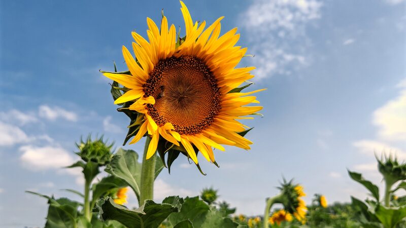 __China_Records_Warmest_Autumn_Since_1961_