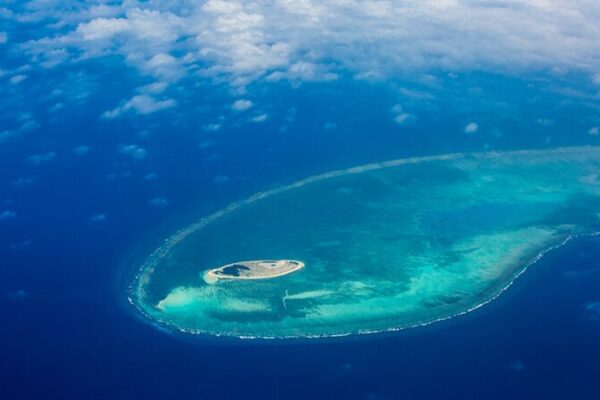 China Steps Up to Revive the South China Sea’s Ecosystem 🌊 China_Steps_Up_to_Revive_the_South_China_Sea_s_Ecosystem__