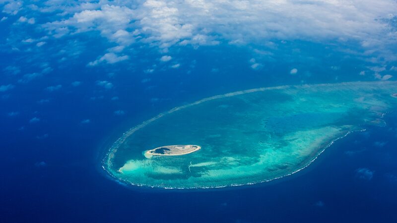 China_Steps_Up_to_Revive_the_South_China_Sea_s_Ecosystem__ - News for amigos, by amigos China_Steps_Up_to_Revive_the_South_China_Sea_s_Ecosystem__