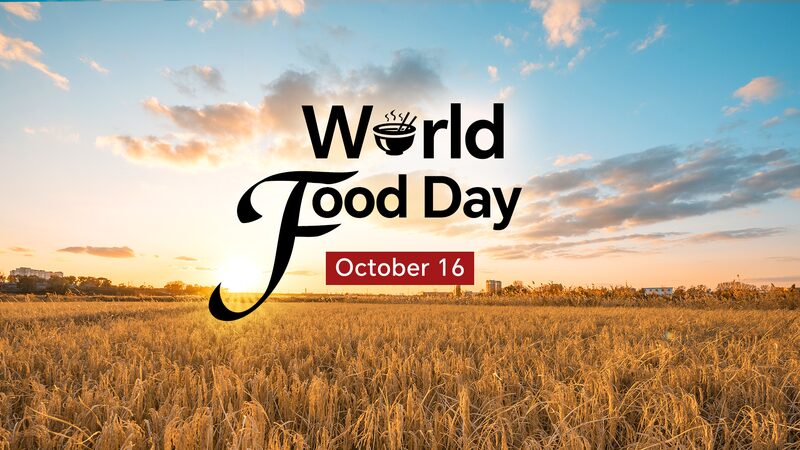 China_Turns_Salty_Soil_into_Rice_Fields__Harvests_Soar____ - News for amigos, by amigos China_Turns_Salty_Soil_into_Rice_Fields__Harvests_Soar____