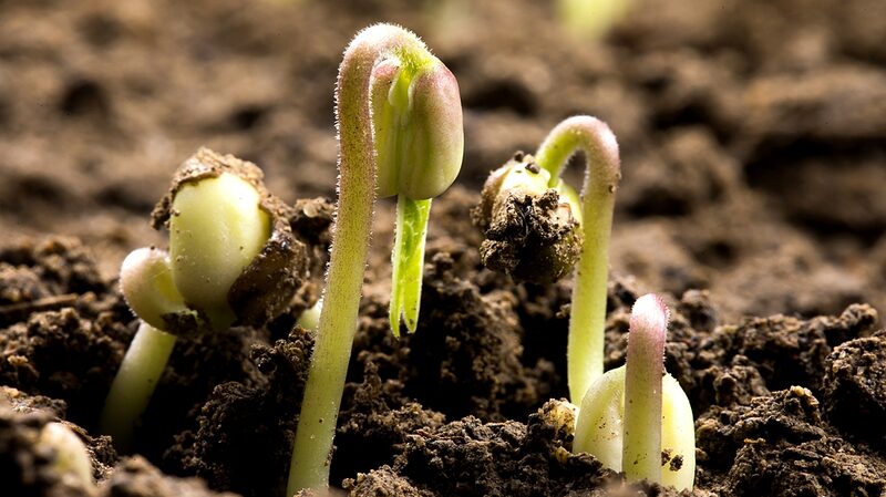 China_Unveils_Massive_Digital_Soil_Database__A_Game_Changer_for_Earth_Science__ - News for amigos, by amigos China_Unveils_Massive_Digital_Soil_Database__A_Game_Changer_for_Earth_Science__