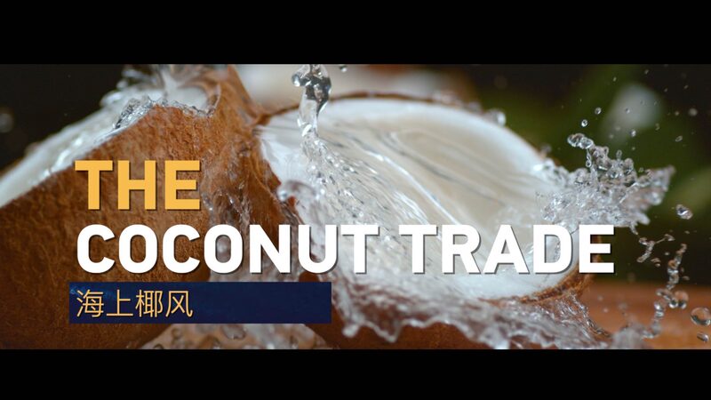 China____and_Vietnam____Unite_Over_Coconuts____Boosting_the_Blue_Economy__ video poster