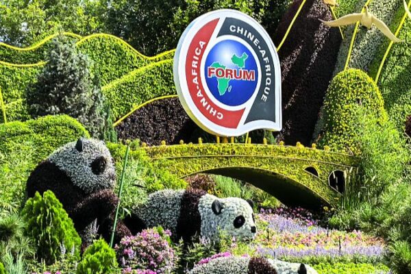China and Africa Power Up: Green Energy Sparks Closer Ties at FOCAC China_and_Africa_Power_Up__Green_Energy_Sparks_Closer_Ties_at_FOCAC