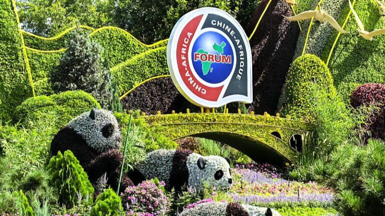 China_and_Africa_Power_Up__Green_Energy_Sparks_Closer_Ties_at_FOCAC
