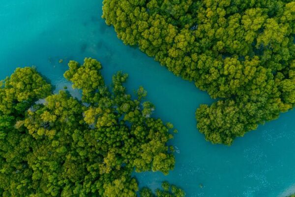China and EU Urged to Team Up for Climate Action 🌍🤝 China_and_EU_Urged_to_Team_Up_for_Climate_Action___