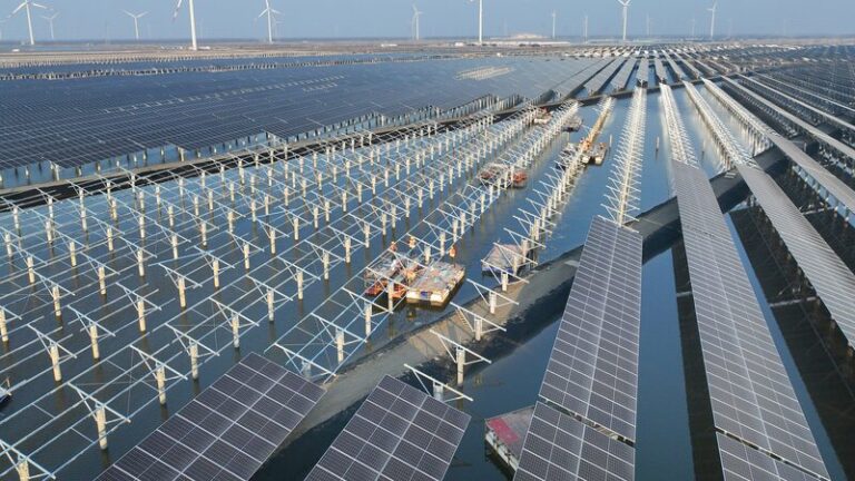 China_and_France_Join_Forces_for_a_Greener_Future___