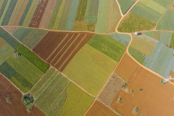 China and France Join Forces for a Greener Future in Farming 🌿 China_and_France_Join_Forces_for_a_Greener_Future_in_Farming__