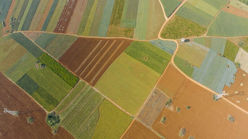 China_and_France_Join_Forces_for_a_Greener_Future_in_Farming__ - News for amigos, by amigos China_and_France_Join_Forces_for_a_Greener_Future_in_Farming__