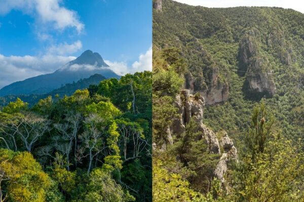 China and France Join Forces to Protect Biodiversity in National Parks 🌿🐾 China_and_France_Join_Forces_to_Protect_Biodiversity_in_National_Parks___